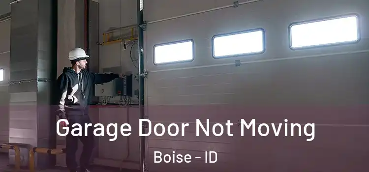  Garage Door Not Moving Boise - ID