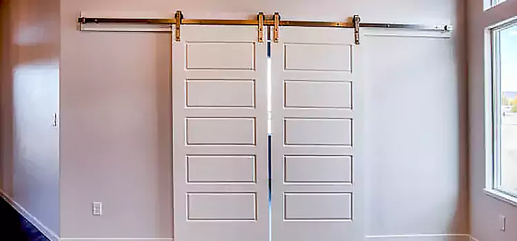 Glass Barn Door with Installation Hardware Kit Boise